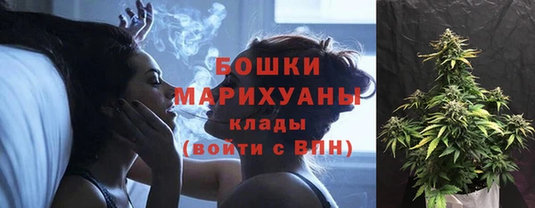 крисы Киреевск