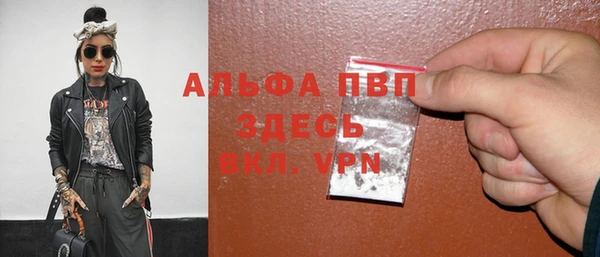 прущие грибы Касимов