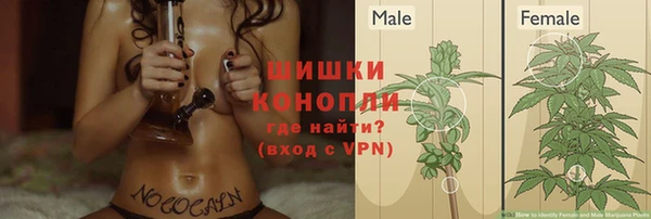 прущая мука Карпинск