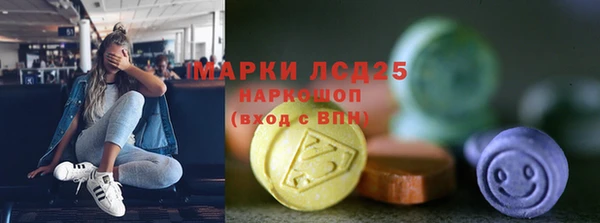 прущие грибы Касимов