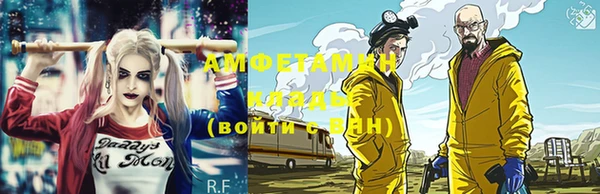 прущие грибы Касимов