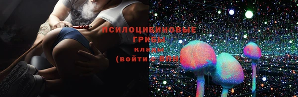Альфа ПВП Козловка