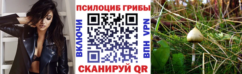 Купить где  Бикин  Псилоцибиновые грибы GOLDEN TEACHER 