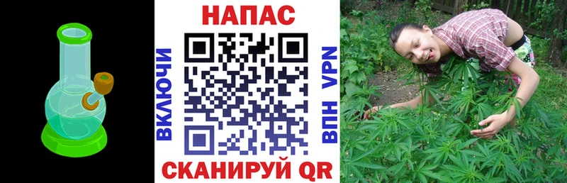 Бошки Шишки индика  Купить где  Бикин 